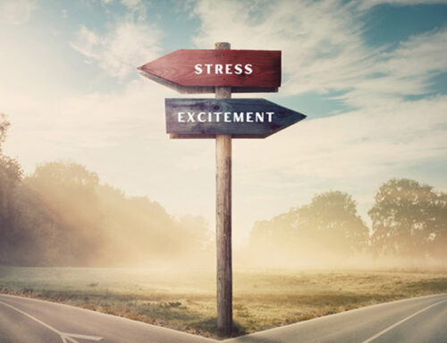 Navigating the Excitement-Stress Paradox: Embracing Growth Mindset Solutions